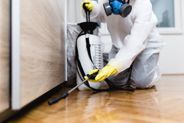 Best Pest Prevention Services  in Sorgho, KY