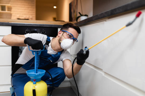 Pest Control for Restaurants in Sorgho, KY