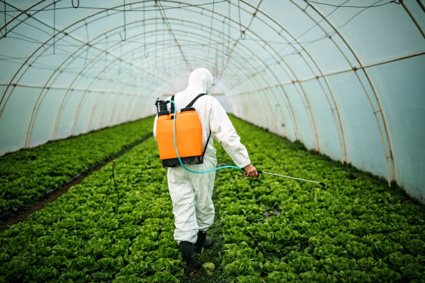 Best Pest Prevention Services  in Sorgho, KY