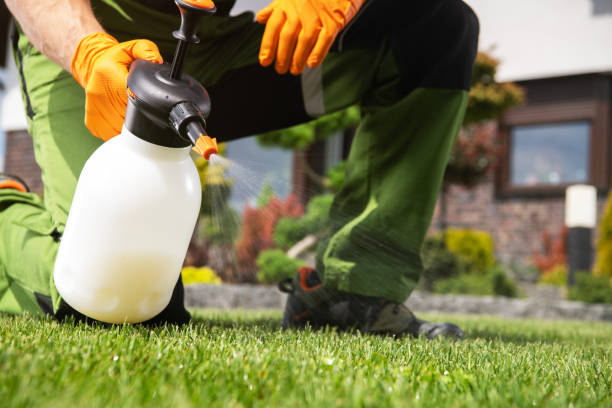 Best Emergency Pest Control  in Sorgho, KY