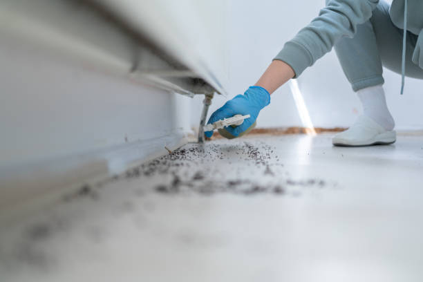 Pest Control Cost in Sorgho, KY